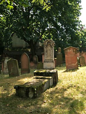 Führung Mainz - Alter jüdischer Friedhof