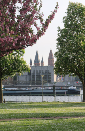 Stadtführung Mainz - Stadt der Superlative(n)