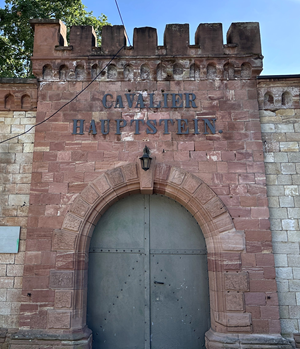 Stadtführung - Der Rheingauwall
